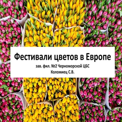 фестивали цветов в европе
