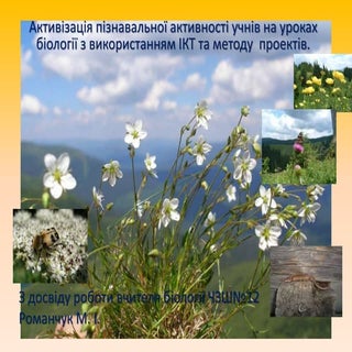 з досвіду роботи вчителя.