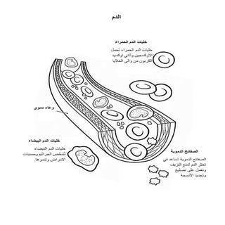 الدم
