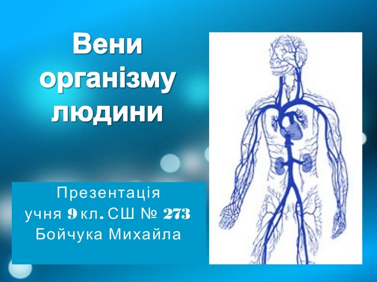 вени