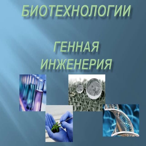 Біотехнології. Генна інженерія