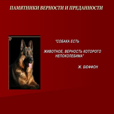 Верность и преданность животных. Высказывания отсобаках. Самый верный цвет. Памятники животным презентация. Верность и преданность животных.