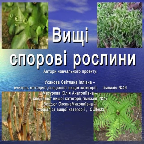 вищі спорові рослини проект ( слайди ) | PPT