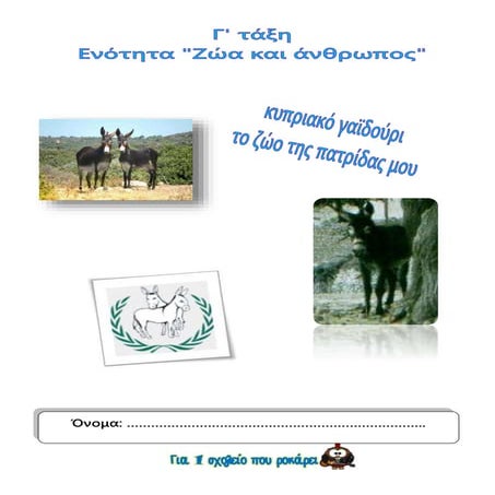 κυπριακό γαϊδούρι