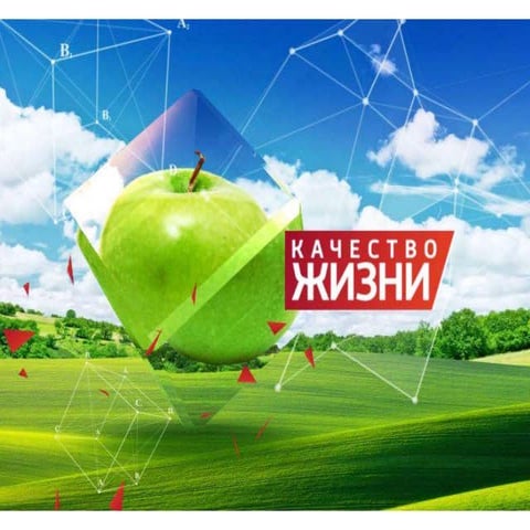 презентация тищук