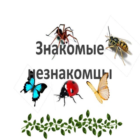 Презентация "Знакомые незнакомцы"