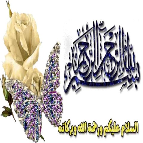 تخطيط الموارد البشرية