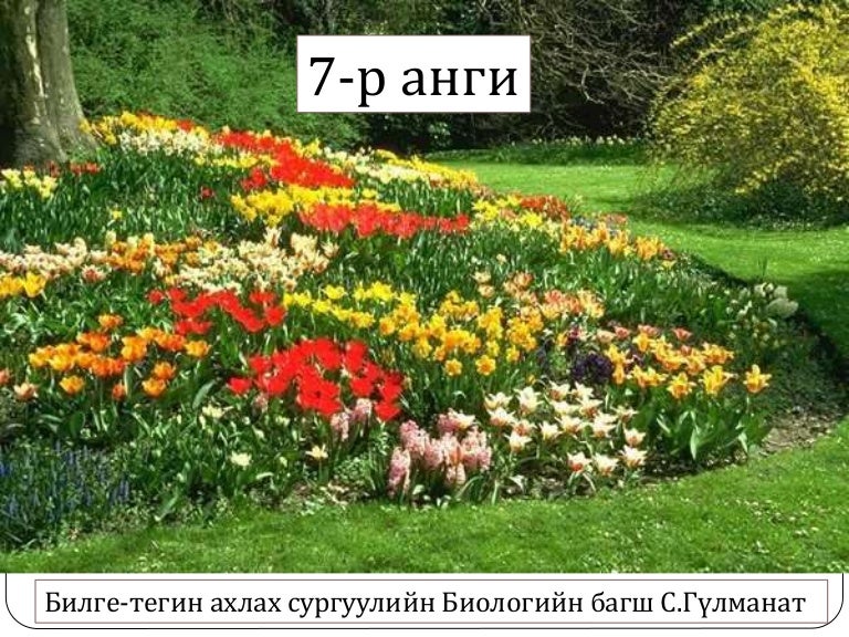 ургамлын үржил