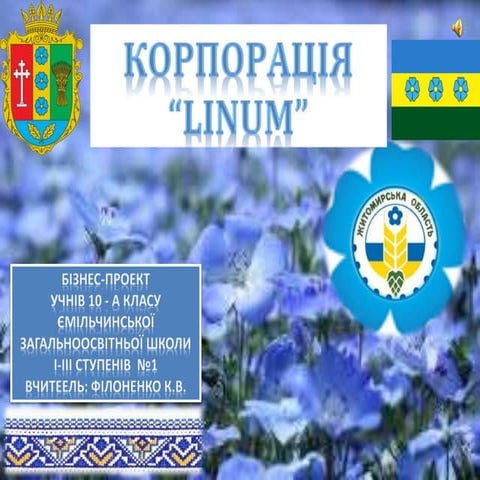 Проект "Корпорація "ЛІНУМ" 