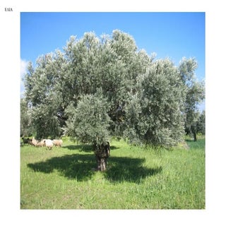 Ελια εποπτικό.pdf