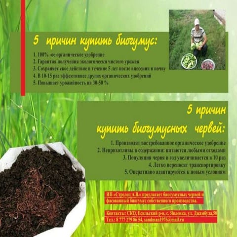 презентация  ип стрелец ав 