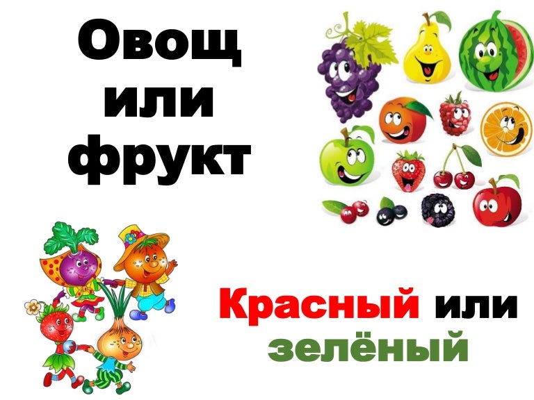 Курсовая работа овощи. Курсовая работа овощи