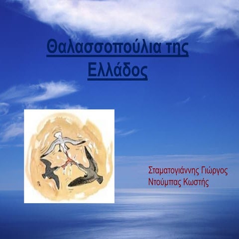 θαλασσοπούλια της ελλάδος τελική διορθωμένη