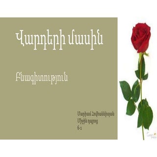 Վարդերի մասին