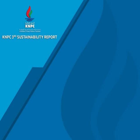 Ms. Sarah Hashem - Sustainability of the three main aspects of the ( economic...