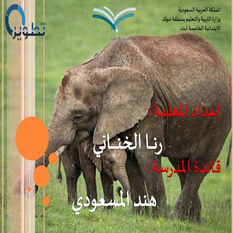 التكيف والبقاء 