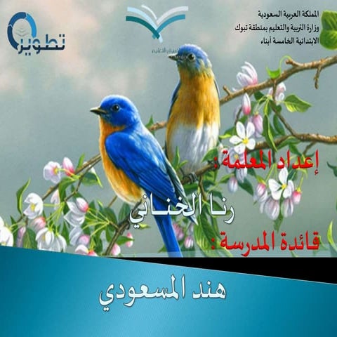 العلاقات في الانظمة البيئية 