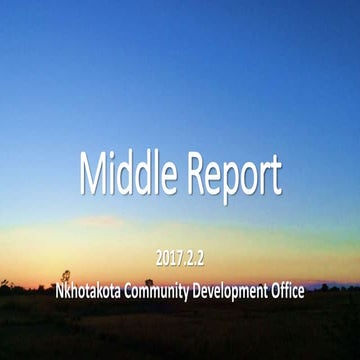 協力隊　中間報告資料