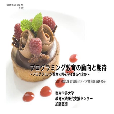 プログラミング教育の動向と期待