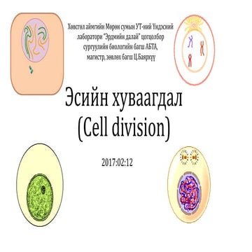 эсийн хуваагдал сайжруулсан