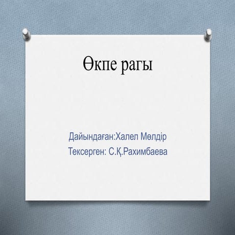 Өкпе рагы