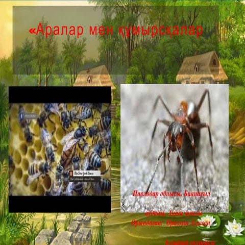 Аралар мен құмырсқалар