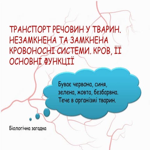 Транспорт речовин у тварин. Кровоносні системи тварин.