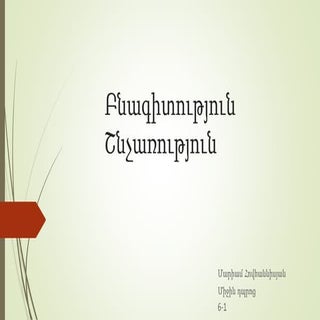 Շնչառություն