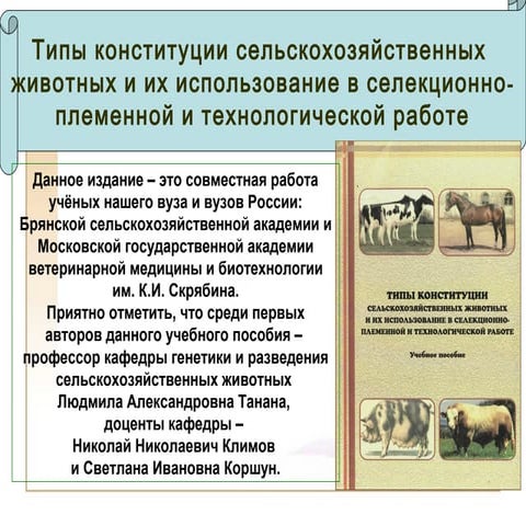 Тип конституции это. Тип конституции это