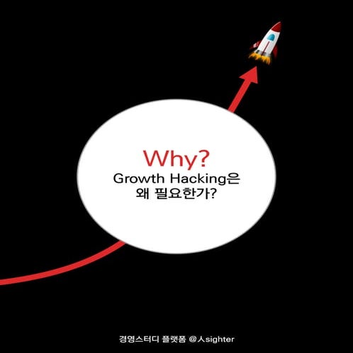 그로스 해킹(Growth Hacking)