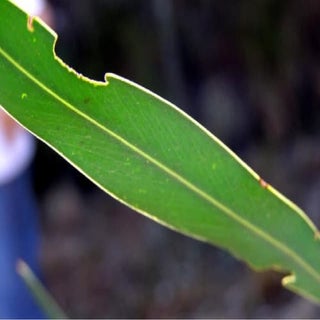 Εκθεση φωτογραφίας.pdf