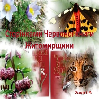 Cторінками Червоної книги Житомирщини