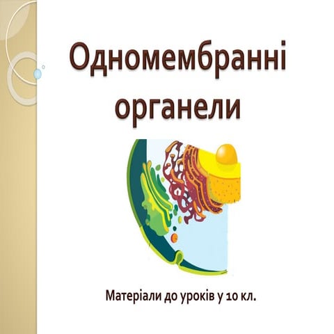 одномембранні органели | PPT
