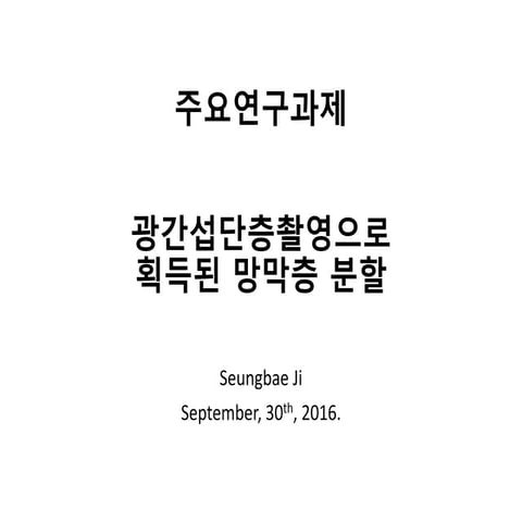 retinal layer segmentation