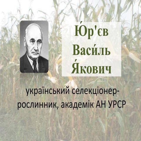 ю́р'єв васи́ль я́кович