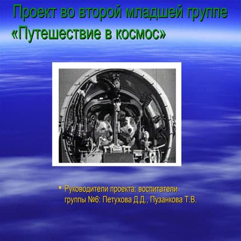 Проект «Путешествие в космос» - Группа "Звездочеты" (2017) 