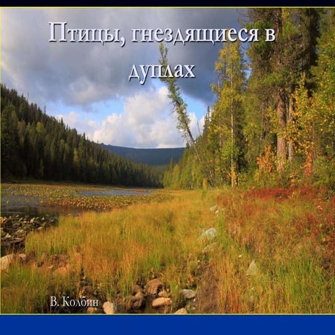 Дуплогнездики