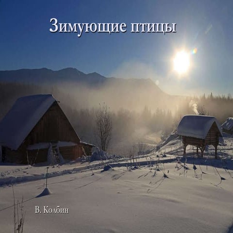 Зимующие птицы