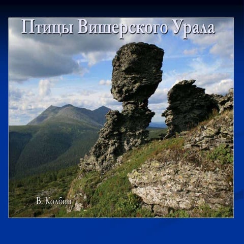 Птицы Вишеры