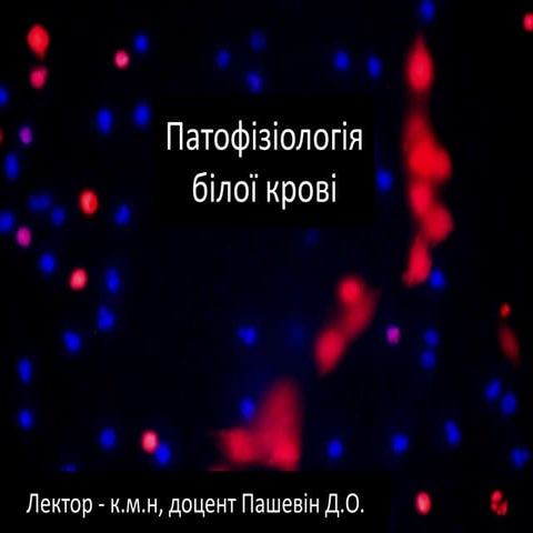 патофізіологія білої крові