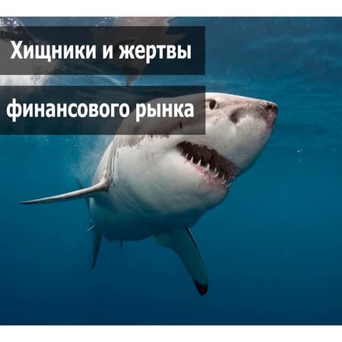 юрий иващенко применение биржевых объёмов в торговле на рынке форекс