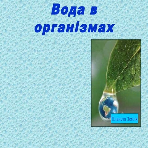 Вода в організмах