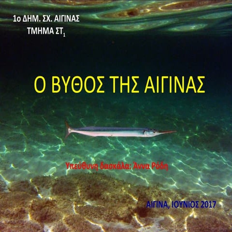  ο βυθος της αιγινας