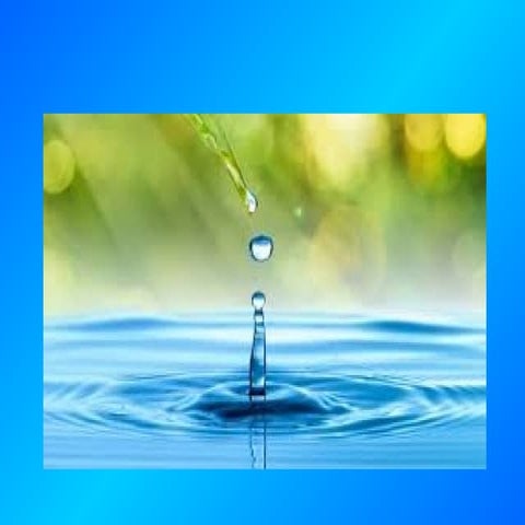 מצגת  נוזלי הגוף