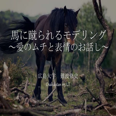 馬に蹴られるモデリング