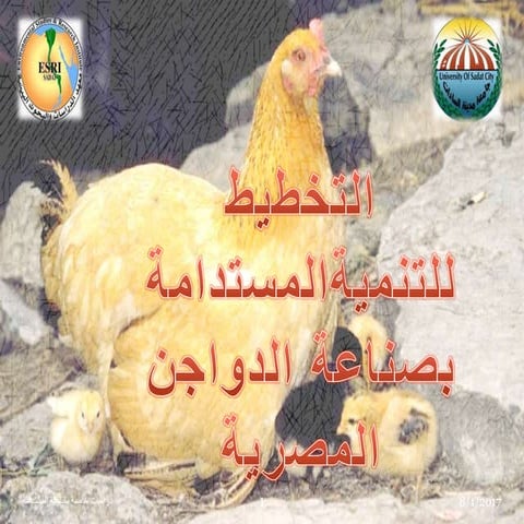 التنمية المستدامة بصناعة الدواجن المصرية