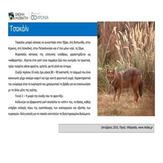 ζώαυπόεξαφάνιση