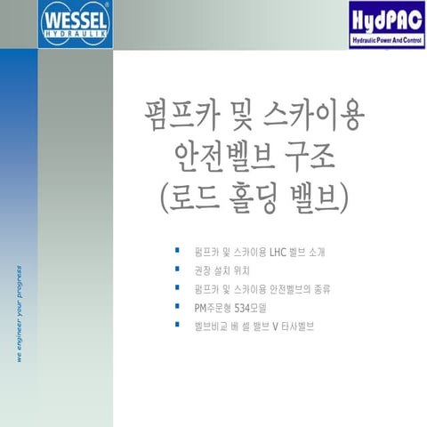 펌프카 및 스카이용 안전벨브 구조(로드홀딩벨브)