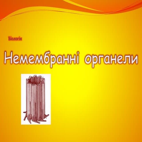 немембранні органели