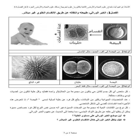 طبيعة الخبر الوراثي